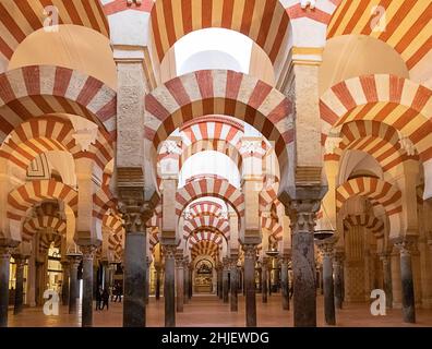 CORDOBA ANDALUSIEN SPANIEN DIE MOSCHEE KATHEDRALE MEZQUITA INNENSÄULEN UND ZWEISTUFIGE BÖGEN Stockfoto