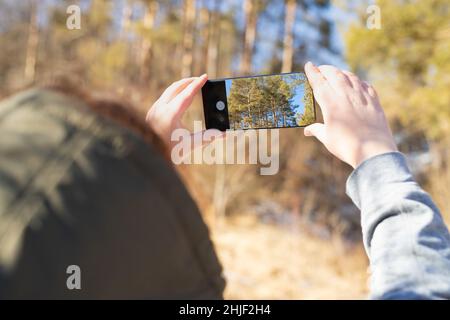 Naturfotos mit dem Telefon aufnehmen - Hand hält ein Smartphone und fotografiert Bergbäume. Handy-Fotografie, Erfassung der Natur Schönheit und Hobby Stockfoto