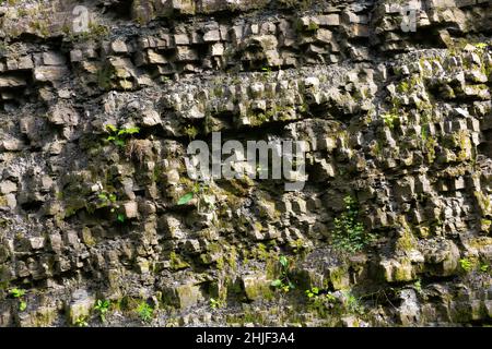 Granitstruktur in der Natur im Freien. Natürliche Felswand im Tageslicht. Verlassene Steinbrüche Stockfoto