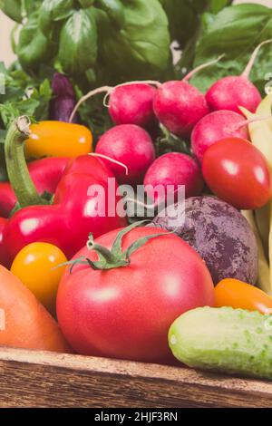 Frische reife Gemüse als gesunden Zutaten, Vitamine und Mineralien für verschiedene Gerichte kochen Stockfoto
