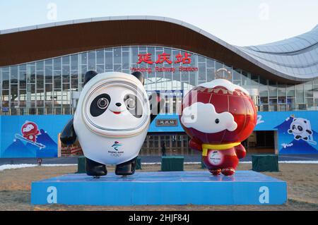 Peking, China. 29th Januar 2022. Das am 29. Januar 2022 aufgenommene Foto zeigt die dekorativen Installationen zum Thema der Olympischen Winterspiele 2022 in Peking am Bahnhof Yanqing im Bezirk Yanqing in Peking, der Hauptstadt Chinas. Quelle: Ren Chao/Xinhua/Alamy Live News Stockfoto