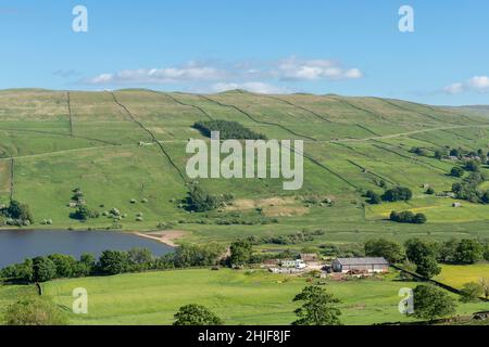 Malerischer Blick auf Felder und Trockenmauern am Hang über Semer Water in den Yorkshire Dales Stockfoto