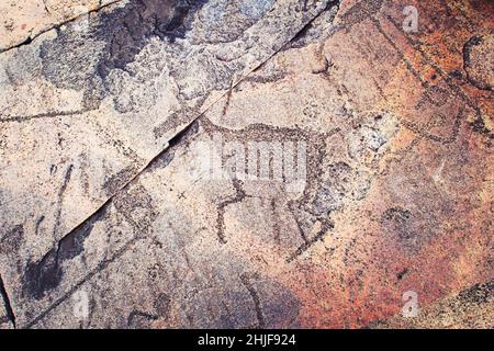 Alte Felszeichnungen am Ufer des Onega-Sees. Geschnitzt auf einer Granitplatte. Kap Besov Nos, Karelien, Russland - 15. August 2021. Stockfoto