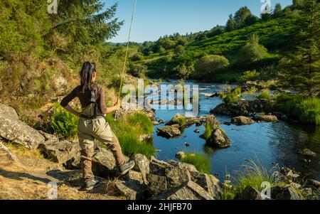 Eine asiatische weibliche Fliegenfischer Frauen, die Watvögel tragen und eine Rute halten und suchen, wo sie auf einem Fluss fischen können Stockfoto