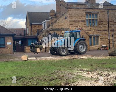 Schlepper bewegt Stämme in Billing Northampton UK Holzabfuhr Abholzung Abschneiden von Bäumen große Bewegung Arbeiter Zerstören Abholungen Stockfoto
