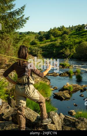 Eine asiatische weibliche Fliegenfischer Frauen, die Watvögel tragen und eine Rute auf ihrer Schulter ruhen, während sie schaut, wo sie auf einem Fluss in Schottland fischen kann Stockfoto