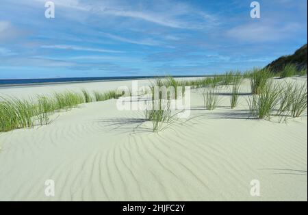 Feiner Sandstrand auf der deutschen Nordseeinsel borkum Stockfoto