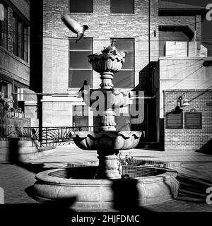 Tauben am Brunnen im hinteren Backsteinhof der Kirche Sacred Heart im Herzen des zweiten Bezirks, auch El Segundo Barrio genannt, in El Paso, Stockfoto