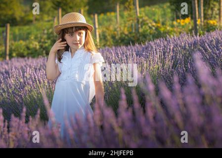 Schönes kleines Mädchen in einem Lavendelfeld in Italien Stockfoto