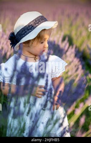 Schönes kleines Mädchen in einem Lavendelfeld in Italien Stockfoto