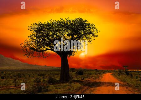 Sonnenuntergang und Sonnenaufgang im Tsavo East und Tsavo West National Park in Kenia Stockfoto