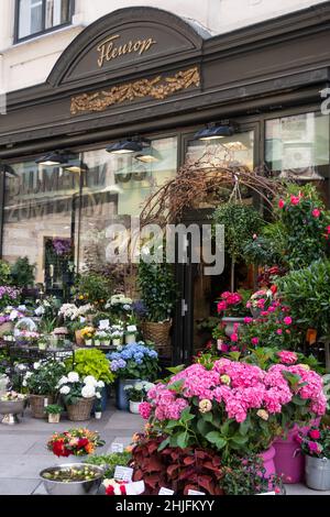 Blumenladen am Stephansplatz in Wien, Österreich Stockfoto