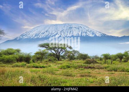 Bilder vom schneebedeckten Kilimandscharo in Kenia Stockfoto