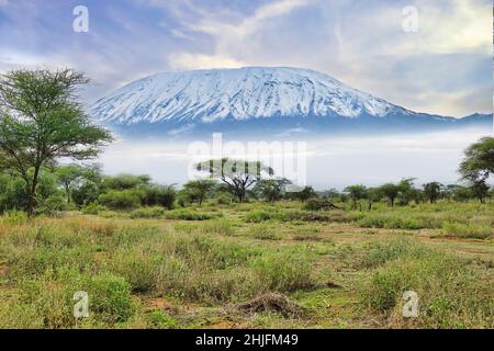 Bilder vom schneebedeckten Kilimandscharo in Kenia Stockfoto