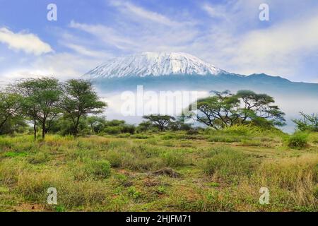 Bilder vom schneebedeckten Kilimandscharo in Kenia Stockfoto