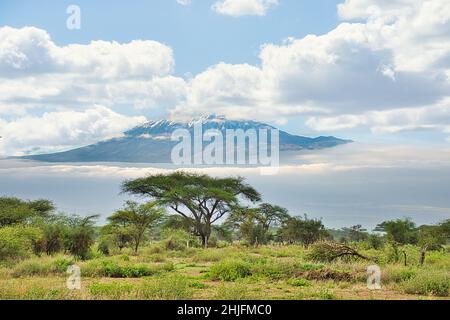 Bilder vom schneebedeckten Kilimandscharo in Kenia Stockfoto