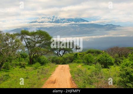 Bilder vom schneebedeckten Kilimandscharo in Kenia Stockfoto