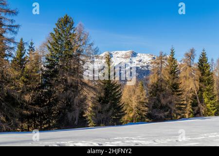 Naturkulisse rund um einen See namens Felixer Weiher in Südtirol zur Winterzeit Stockfoto