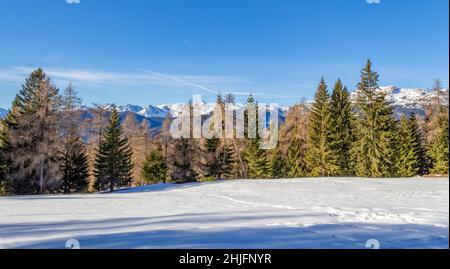 Naturkulisse rund um einen See namens Felixer Weiher in Südtirol zur Winterzeit Stockfoto