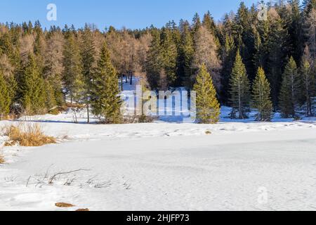 Naturkulisse rund um einen See namens Felixer Weiher in Südtirol zur Winterzeit Stockfoto