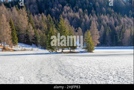 Naturkulisse rund um einen See namens Felixer Weiher in Südtirol zur Winterzeit Stockfoto