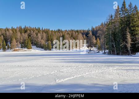 Naturkulisse rund um einen See namens Felixer Weiher in Südtirol zur Winterzeit Stockfoto