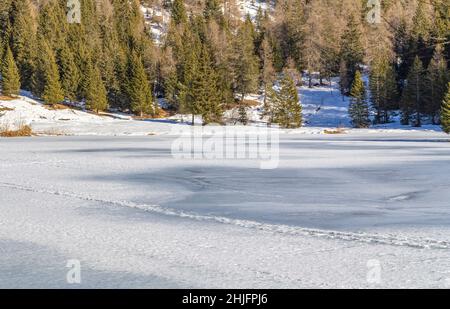 Naturkulisse rund um einen See namens Felixer Weiher in Südtirol zur Winterzeit Stockfoto