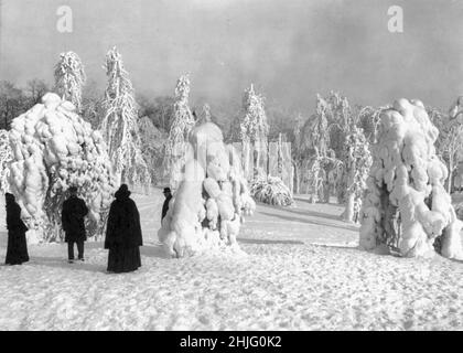 Prospect Park aus der Sicht von Prospect Point - stimmungsvolles Bild von schneebedeckten Bäumen in einem New Yorker Park - Wandern in einem Winterwunderland - um 1904 Stockfoto