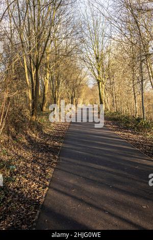 Menschenleerer Radweg im warmen Licht des abendlichen Kopierraums Stockfoto