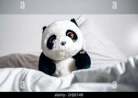 Pandabär Teddy in einem Bett zwischen den Decken versteckt und Blick auf die Kamera Stockfoto