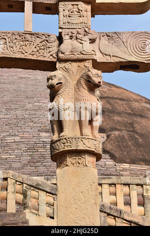 Stupa No 1, South Gateway, Four Lions Nahaufnahme auf jeder der Säulen The Great Stupa, World Heritage Site, Sanchi, Madhya Pradesh, Indien. Stockfoto