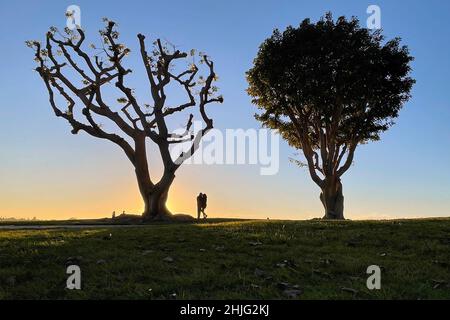 San Diego, Kalifornien, USA. 06th Januar 2022. Ein Paar teilt sich einen Moment unter Korallenbäumen im Embarcadero Marina Park bei Sonnenuntergang am 6. Januar 2022 in San Diego, Kalifornien. (Bild: © David Becker/ZUMA Press Wire) Stockfoto