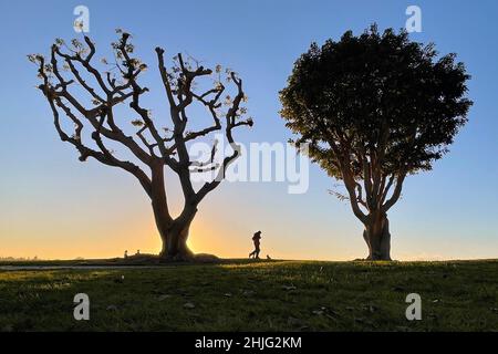 San Diego, Kalifornien, USA. 06th Januar 2022. Ein Paar teilt sich einen Moment, während sie am 6. Januar 2022 bei Sonnenuntergang im Embarcadero Marina Park in San Diego, Kalifornien, unter Korallenbäumen spazieren. (Bild: © David Becker/ZUMA Press Wire) Stockfoto