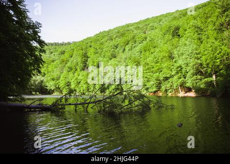 Der Grüne See von Hamori in Lillaure bei Miskolc, Ungarn. Frühlingslandschaft mit Sonnenstrahlen, die die Berge bedecken. Der Sonnenweg auf dem Wasser. Feder Stockfoto