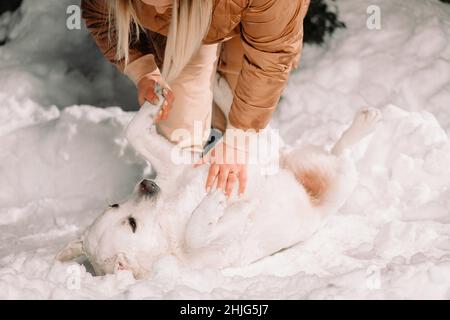 Zugeschnittenes Foto einer Hundebesitzerin in Winterkleidung, die draußen mit ihrem weißen Hund spielt, Hund, der auf dem Schnee liegt. Stockfoto