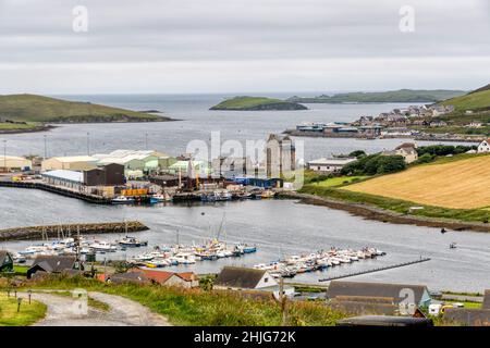 Die Stadt Scalloway auf dem Festland Shetland, mit dem ruinierten Burgwall in der Mitte. Stockfoto