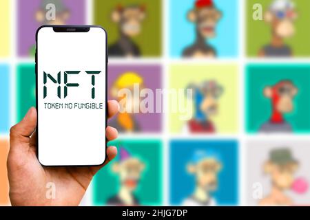 Smartphone mit dem Akronym „NFT“-Logo bezeichnet einen nicht fungiblen Token, der sich auf ein digitales Asset bezieht, das nicht konsumiert oder ersetzt werden kann. United Sta Stockfoto