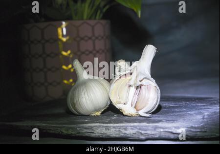 Malen mit Lichtstudie über Stillleben mit einer kleinen Stiftlampe in einer dunklen Studioumgebung Stockfoto