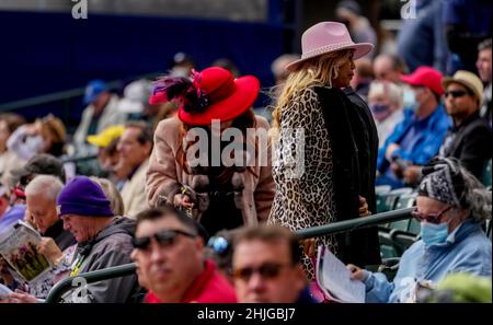 Hallandale Beach, FL, USA. 29th Januar 2022. 29. Januar 2022: Szenen vom Pegasus Weltcup-Tag im Gulfstream Park in Hallandale Beach, Florida am 29th. Januar 2022. Scott Serio/Eclipse Sportswire/CSM/Alamy Live News Stockfoto