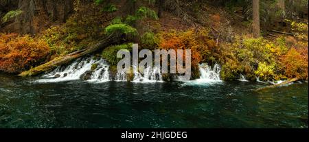 Quellwasser fließt vom Ufer des Metolius River in Zentral-Oregon über der Fischbrüterei Wizard Falls. Stockfoto