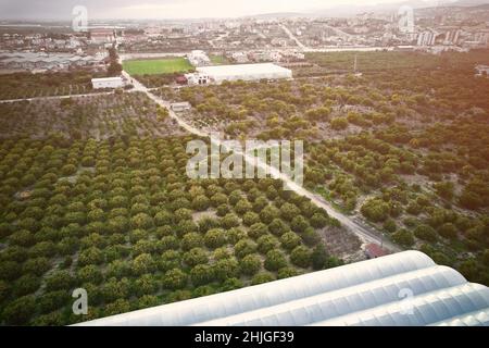 Obstgärten und Gewächshäuser Stockfoto