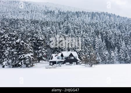 GOLCUK NATURPARK in Bolu, Türkei. (Türkisch: Golcuk Tabiat Parki). Wunderschöne Winterlandschaft am Golcuk Lake. Stockfoto