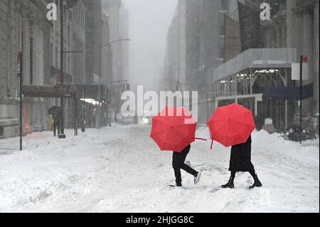 New York, USA. 29th Januar 2022. Zwei Menschen nutzen rote Regenschirme, um sich vor starken Winden und wirbelndem Schnee zu schützen, als sie die Fifth Avenue während eines Wintersturms überqueren, der mehr als 7 Nischen Schnee und starke Windböen in die Stadt brachte, New York, NY, 29. Januar 2022. New York City steht unter einem gefährlichen Reiseberater, da ein Nor'easter im Nordosten die Macht ausreißt und schweren Schnee über die Region bringt. (Foto von Anthony Behar/Sipa USA) Quelle: SIPA USA/Alamy Live News Stockfoto