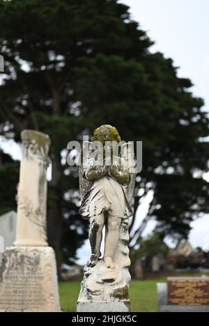 Weiße, abgenutzte und moosbedeckte Skulptur eines Kinderengels, der auf einem Friedhof betet, mit Gräbern, Bäumen und einem grasbewachsenen Bereich im Hintergrund Stockfoto