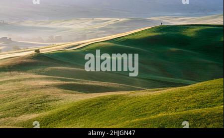 Toskana Frühlingsmorgen. Blick auf die sonnenbeschienenen Hügel. Stockfoto