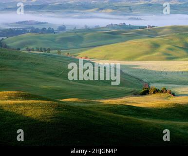 Frühling Toskana. Blick auf die sonnenbeschienenen Hügel. Es gibt Nebel im Tal. Stockfoto