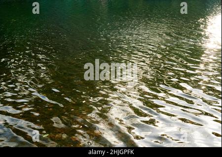 Wellen auf dem Wasser auf dem See mit grüngelber Spiegelung im Winter Stockfoto