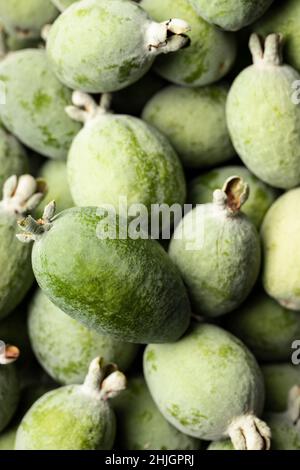 Eine Makroansicht der frisch gepflückten Feijoa-Frucht Stockfoto