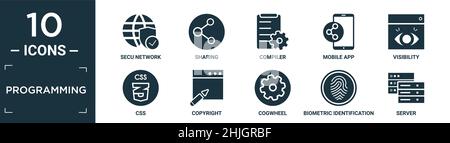 Gefüllte Programmierung Icon Set. Enthalten flache secu Netzwerk, Sharing, Compiler, mobile App, Sichtbarkeit, css, Copyright, Zahnrad, biometrische Identifizierung, Stock Vektor