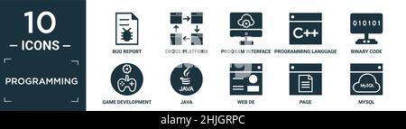 Gefüllter Programmier-Icon-Satz. Enthalten flachen Fehlerbericht, plattformübergreifend, Programmschnittstelle, Programmiersprache, Binärcode, Spieleentwicklung, java, wir Stock Vektor